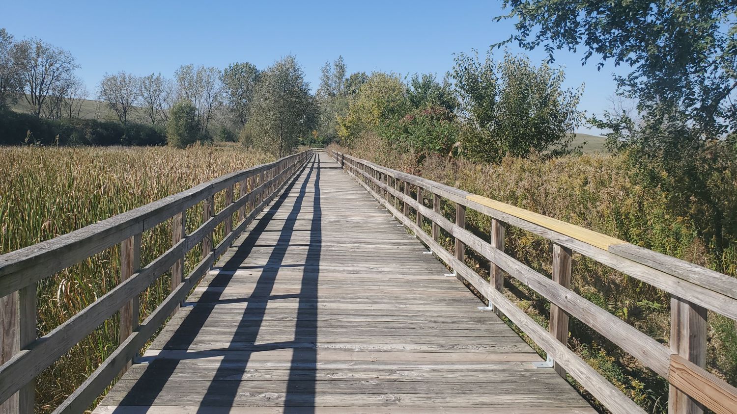 Mallard Lake 